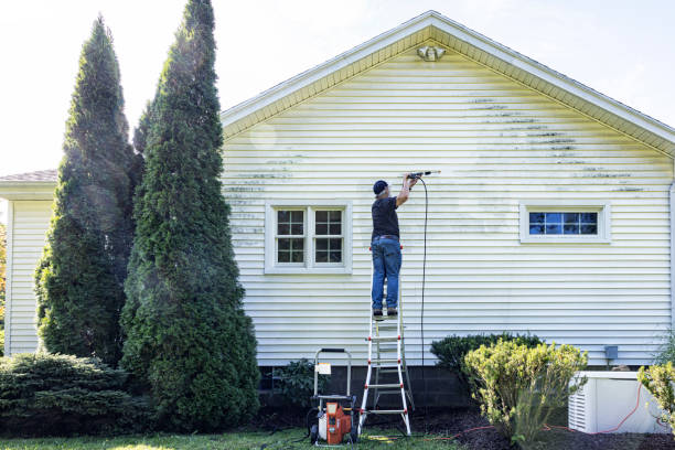 Best Parking Lot and Garage Cleaning  in Shelby, MI